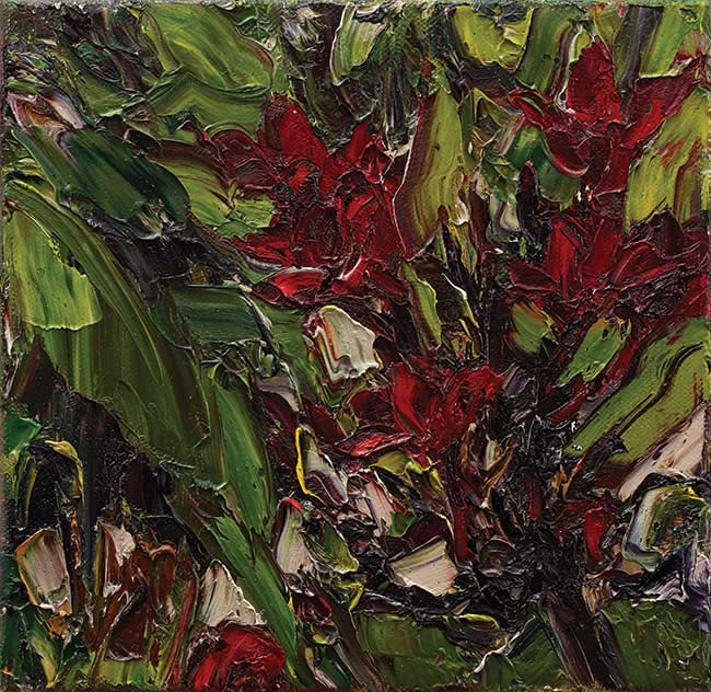 Wooli Garden (little fuchsia frangipani) Harding