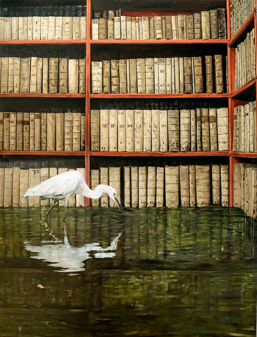 Flooded Library 2 McGrath
