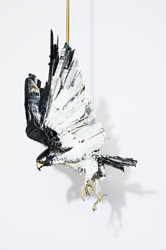Falcon by Anna-Wili Highfield 