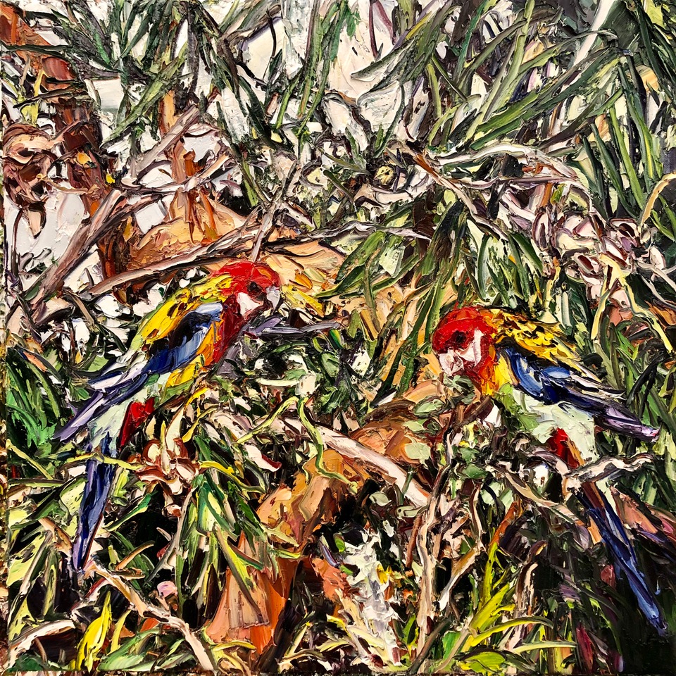 Two Rosellas and Grevilea. by Nicholas Harding 