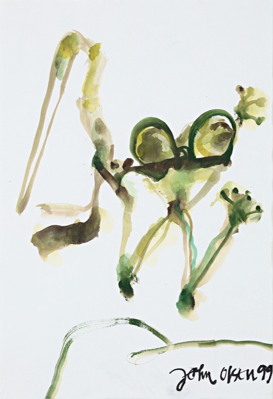 Tree Frog (untitled) Olsen