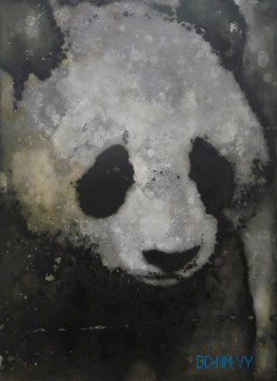 Sad Panda Maestri